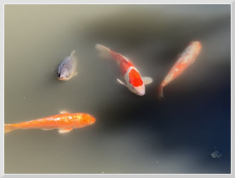 はじめての俳句 上大岡カルチャースクール アグリ